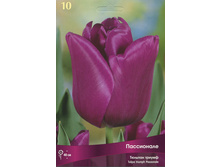 ������� ����������.jpg