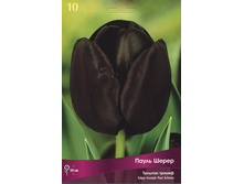 ������� ����� �����.jpg