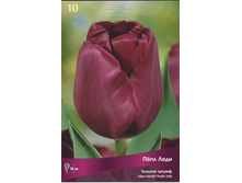 ������� ��� ����.jpg