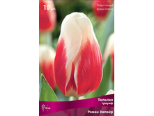 ������� ����� ������.jpg