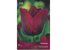 ������� �������.jpg