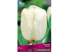 ������� ������� ������.jpg