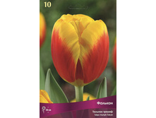 ������� �������.jpg