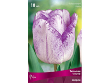 ������� �����.jpg