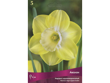 ������� ������.jpg