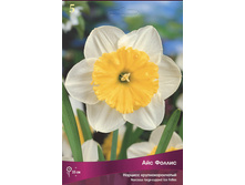 ������� ��� �����.jpg