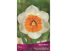 ������� ����� �����.jpg