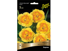 ������� ������.jpg