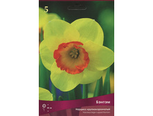 ������� ������.jpg