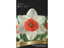 ������� �����.jpg