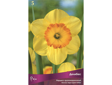 ������� �������.jpg