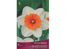 ������� ������ ������.jpg