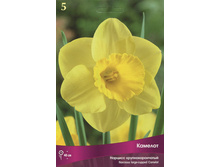 ������� �������.jpg