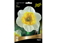 ������� ����.jpg