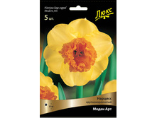 ������� ����� ���.jpg