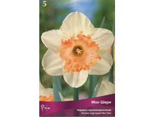 ������� ��� ����.jpg