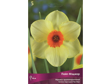 ������� ���� ������.jpg