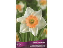 ������� ����� ��� ����.jpg