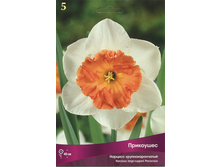 ������� ���������.jpg