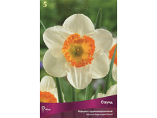 ������� �����.jpg