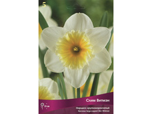 ������� ���� ������.jpg