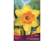 ������� �����.jpg