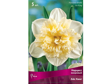 ������� ��� ����.jpg