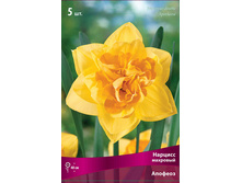 ������� �������.jpg