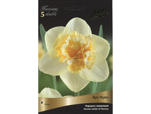 ������� ��� ����.jpg