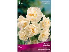 ������� ������� �����.jpg