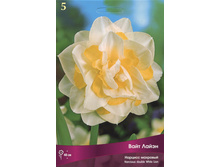 ������� ���� �����.jpg