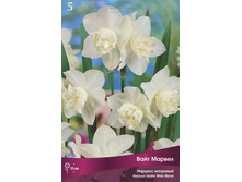 ������� ���� ������.jpg