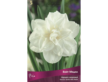 ������� ���� �����.jpg