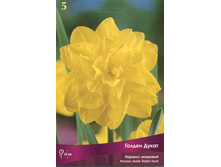 ������� ������ �����.jpg