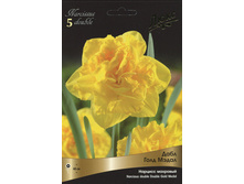 ������� ���� ���� �����.jpg