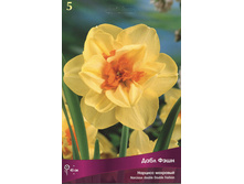 ������� ���� ����.jpg