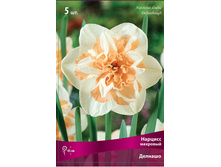 ������� �������.jpg