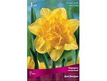 ������� ��� ������.jpg