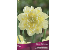 ������� ���� �������.jpg