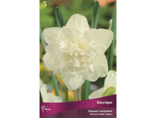 ������� �������.jpg