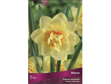 ������� �����.jpg