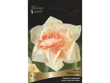 ������� ���� ��������.jpg