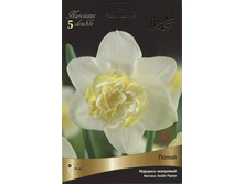 ������� �����.jpg