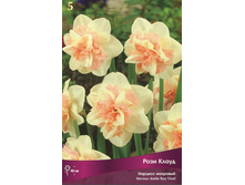 ������� ���� �����.jpg