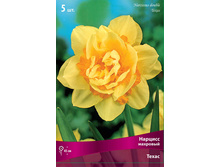 ������� �����.jpg