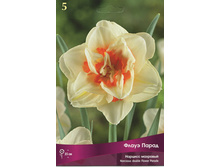 ������� ����� �����.jpg