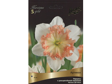 ������� �������.jpg