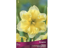 ������� �������.jpg