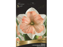 ������� ��� ����.jpg