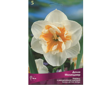 ������� ����� ���������.jpg